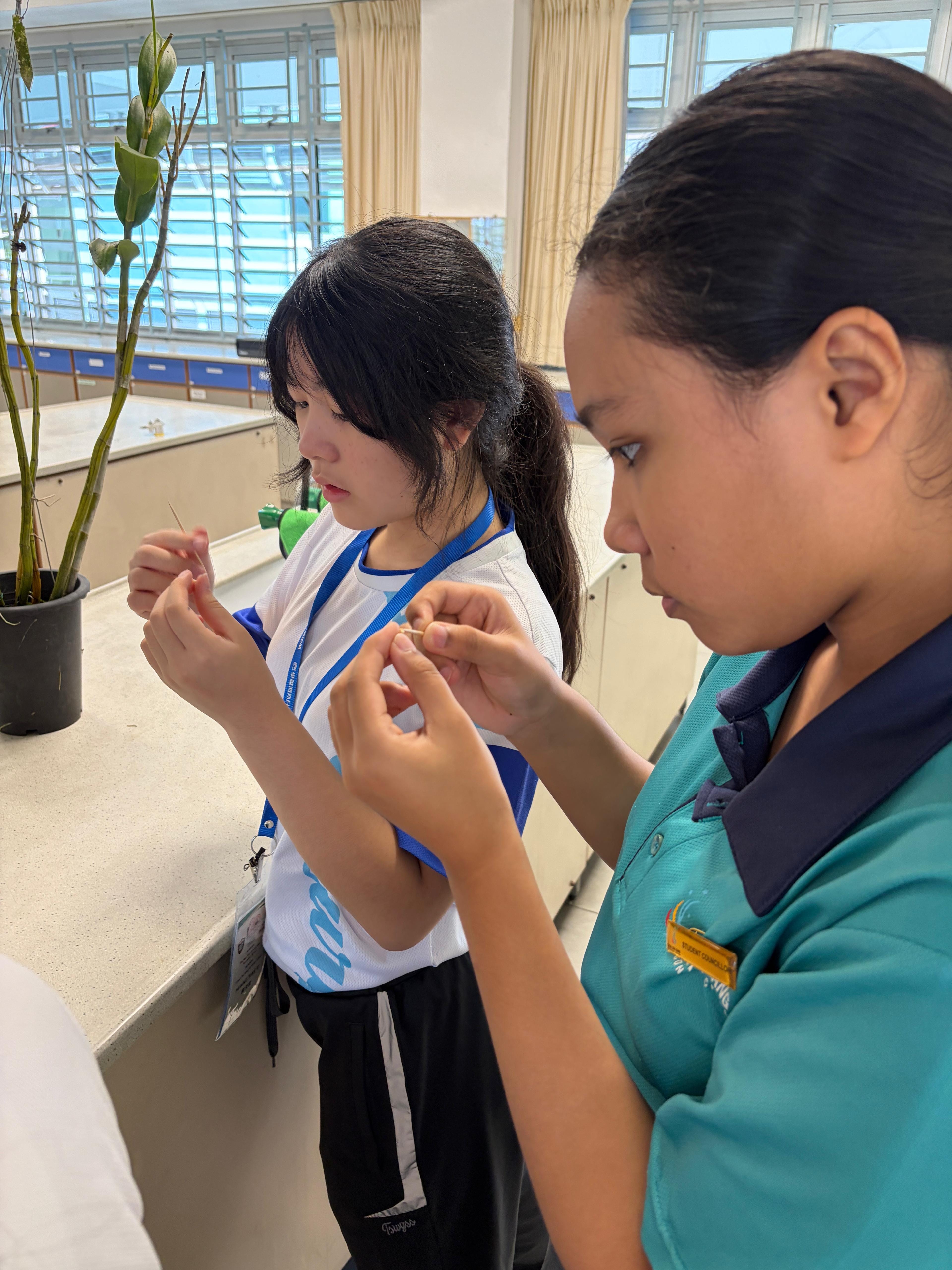 Students trying to hybridise an orchid